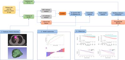 Prognostic value of 18F-FDG PET/CT radiomic model based on primary tumor in patients with non-small cell lung cancer: A large single-center cohort study